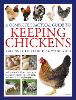 Click Here To View Book Details
