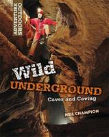 Click Here To View Book Details