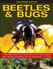 Click Here To View Book Details
